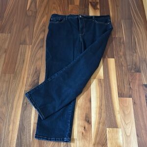 Gloria Vanderbilt AMANDA  Straight Leg Jeans, 18P Short, Madison Style, EUC!